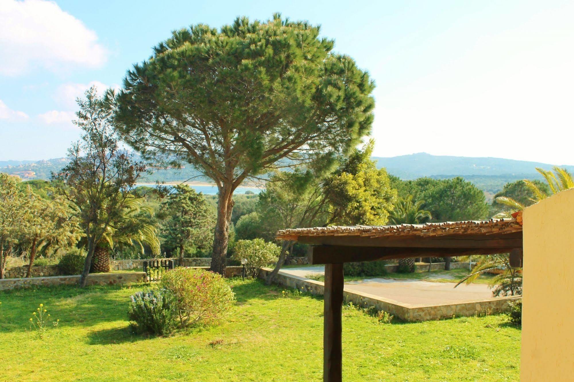 Residence Blue Corner Porto Pollo Palau Buitenkant foto